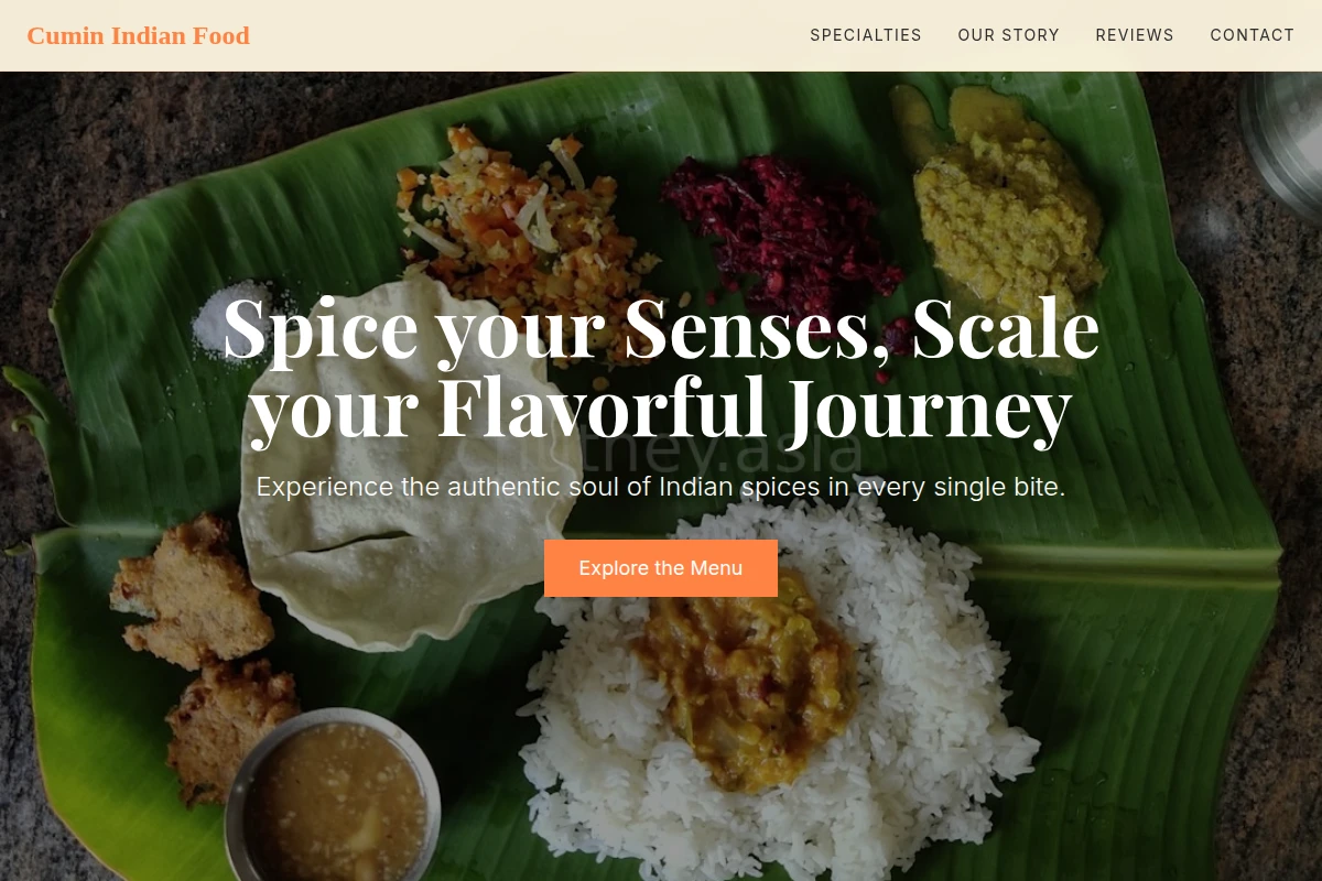 Cumin Indian Food